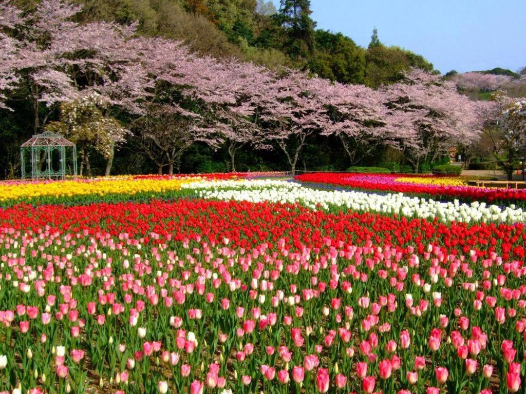 Izumigo Lake Hamanako Dog Paradise Hotel 浜松市 エクステリア 写真