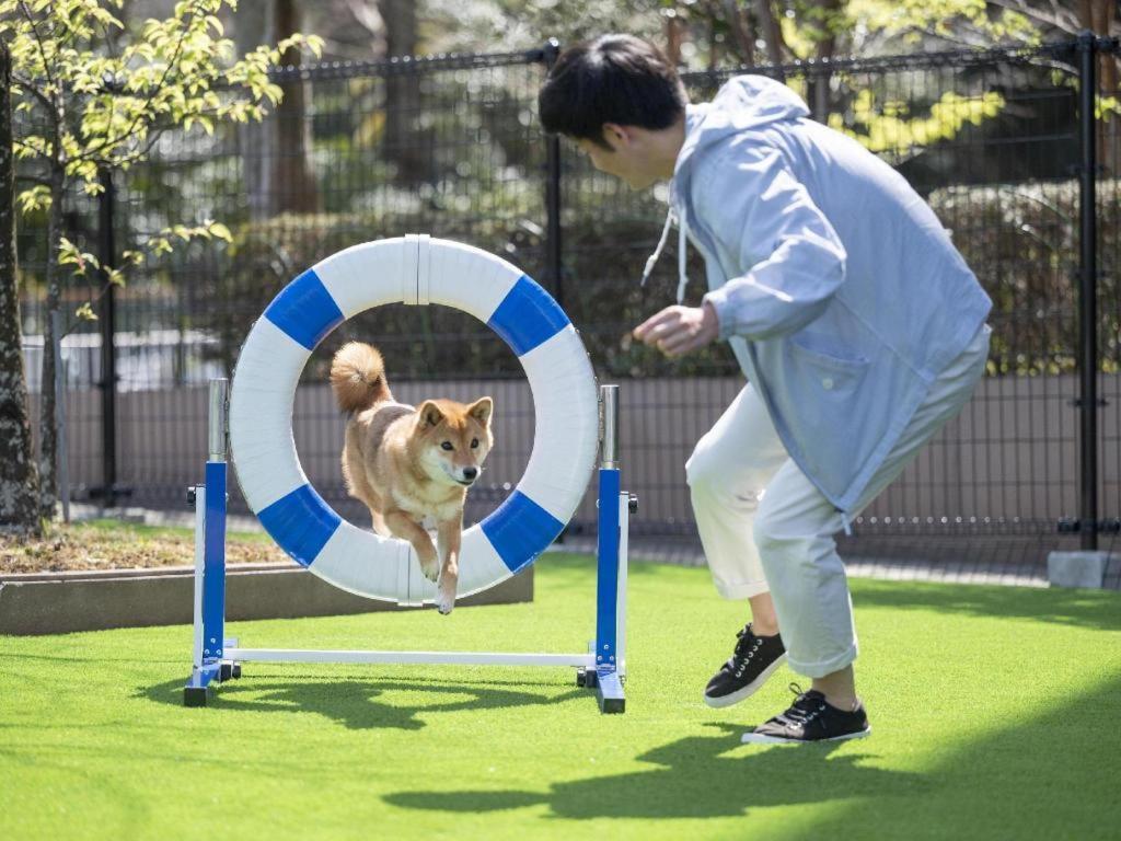 Izumigo Lake Hamanako Dog Paradise Hotel 浜松市 エクステリア 写真