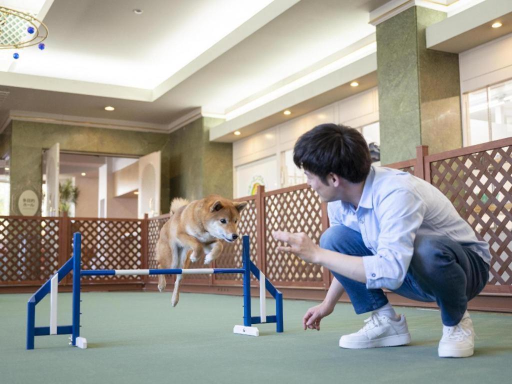 Izumigo Lake Hamanako Dog Paradise Hotel 浜松市 エクステリア 写真