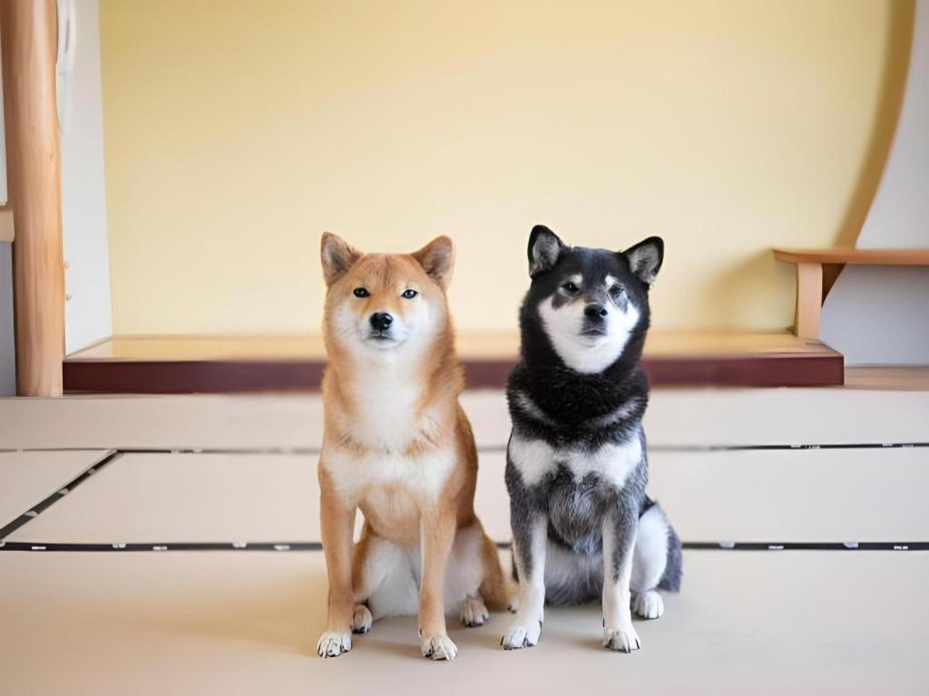 Izumigo Lake Hamanako Dog Paradise Hotel 浜松市 エクステリア 写真
