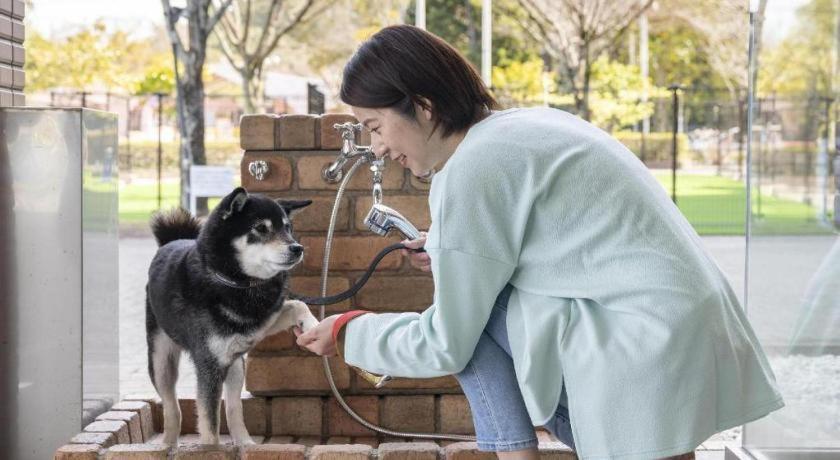Izumigo Lake Hamanako Dog Paradise Hotel 浜松市 エクステリア 写真