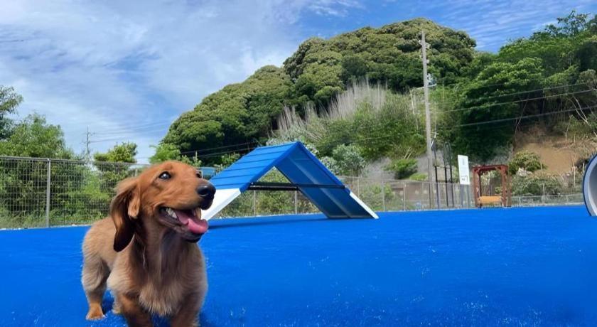 Izumigo Lake Hamanako Dog Paradise Hotel 浜松市 エクステリア 写真